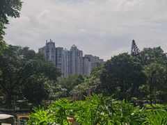 -晓港公园