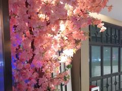 -野妹火锅(龙岗店)