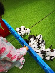 -萌宠亲子动物乐园(槐房万达店)