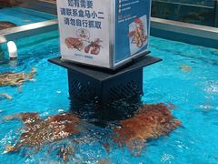 -盒马鲜生(领丰汇店)