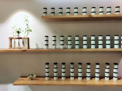 -柴务处·柴犬主题狗咖