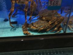 -阿伟海鲜楼·福建菜(延寿店)