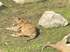 -西安秦岭野生动物园