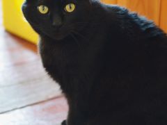 -春风十里咖啡馆