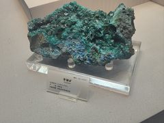 -湖南省地质博物馆