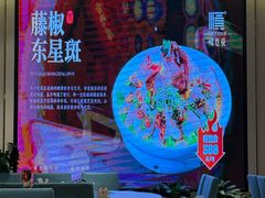 -顺德佬(石厦店)