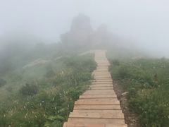 -白草畔自然风景区