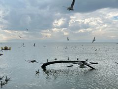 -捞渔河湿地公园