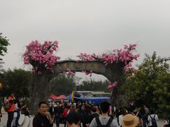 -天适樱花悠乐园