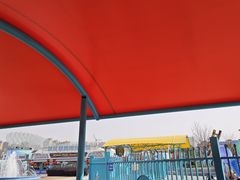 -海合安武汉极地海洋公园