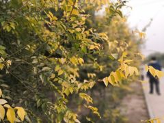 -兴芮温泉度假区