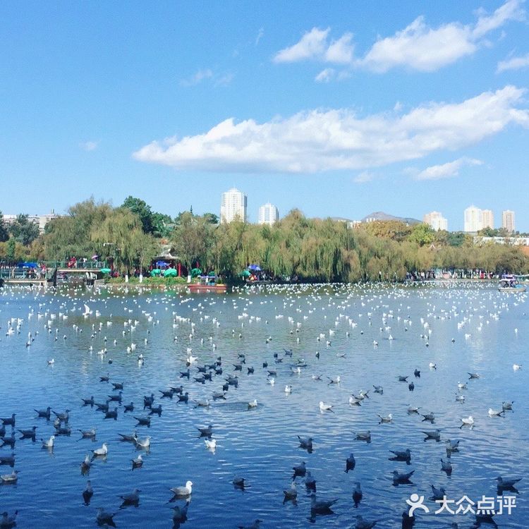昆明游之翠湖公园+钱王街