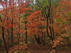 -本溪老边沟风景区