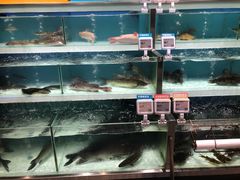-盒马鲜生(财富中心店)