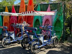 -上海海湾国家森林公园