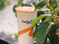 -CoCo都可(上海环球港店)