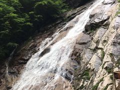 -青峰峡国家森林公园