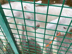 -同里湖度假村(二期店)