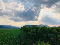 -兰河峪第117加油站