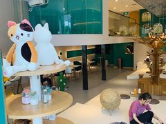 大堂-飞行喵MR PILOT|猫舍·猫咖(静安大融城店)