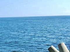 -大连老虎滩海洋公园