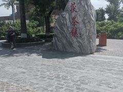 -茯茶镇