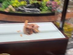 -大连湾旭日·家宴·海肠捞饭(马栏广场店)