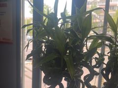 -田凤波推拿.按摩养生(幸福店)