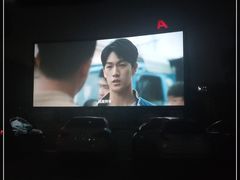 -枫花园汽车电影院(朝阳公园店)