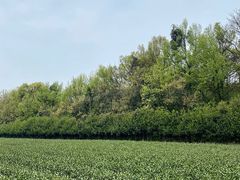 -随意茶庄·地道杭帮农家菜(梅家坞店)