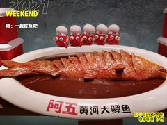 -阿五黄河大鲤鱼(纬三路店)
