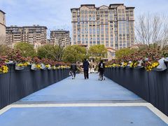 -昆山城市生态森林公园