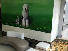 android_upload_pic-美联众合动物医院·24h转诊中心