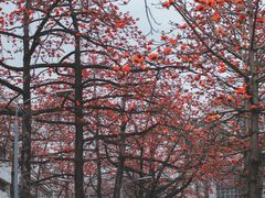 -英雄广场