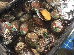 蒜蓉蒸鲍鱼-板桥海鲜广场(文明东店)