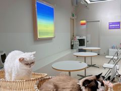 -怪兽屋·羊驼·猫咖·狗咖(俊华广场店)