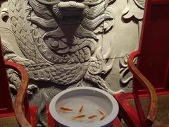 -小龙坎火锅(阳泉店)