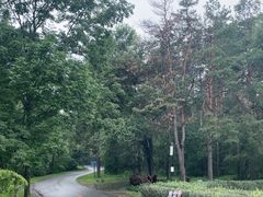 -长春净月潭风景名胜区