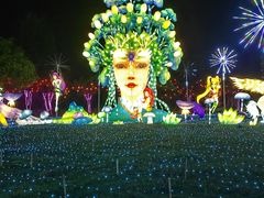 -广西壮族自治区药用植物园