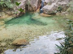 -南海湾森林生态园