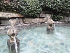 -杭州第一世界大酒店·云曼温泉