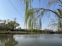 -九里河湿地公园