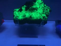 -湖南省地质博物馆