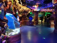 -芜湖新华联大白鲸海洋公园