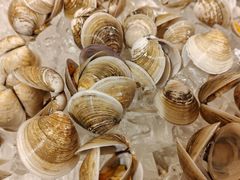 -大唐西市酒店-丝路阳光西餐厅