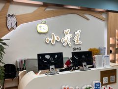 -小荧星艺校(大宁分校)