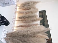 -喜茶(佛山顺德容桂天佑城店)