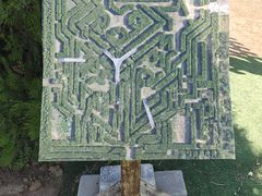 -亲兄弟真人CS团建拓展基地