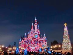 -上海迪士尼度假区