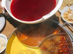 -青瓷火锅料理(西单大悦城店)